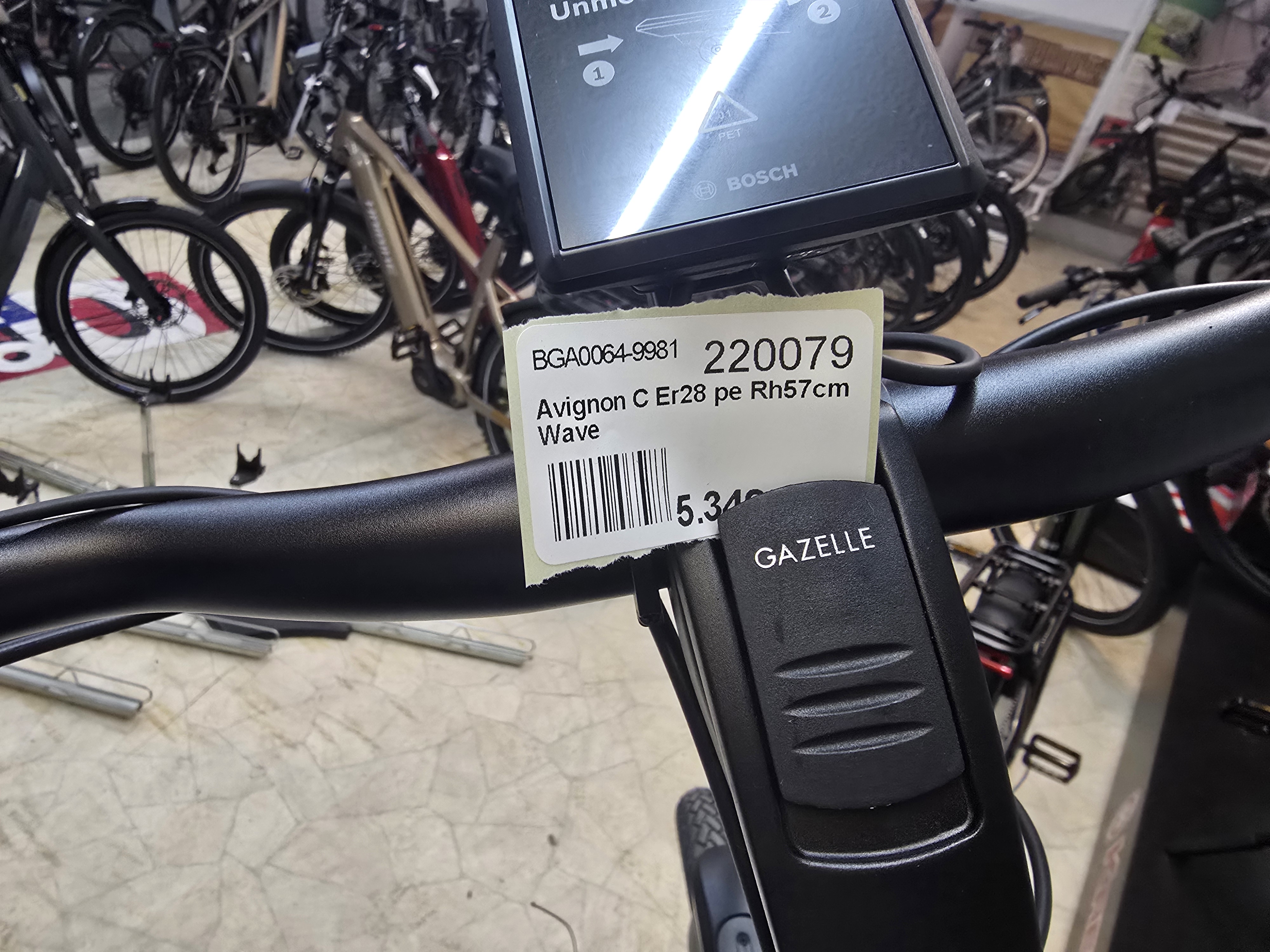 Gazelle AVIGNON C380 HMB  Teal grey SE 