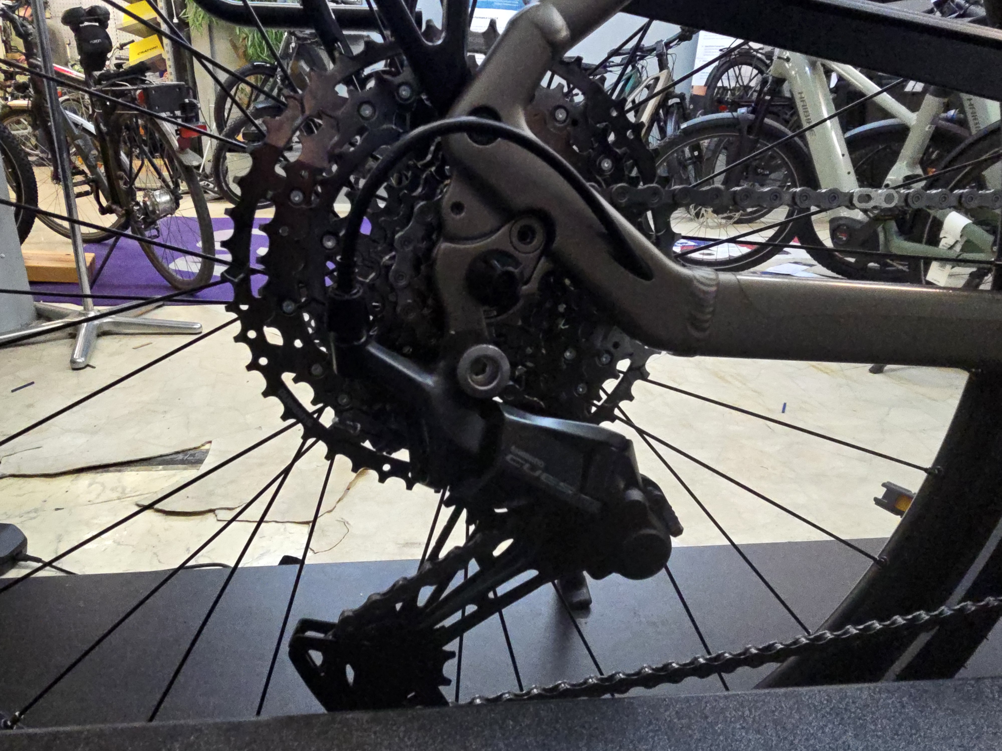  ZEG CENTO 10 PLUS PLATIN BRONZE MATT 2026