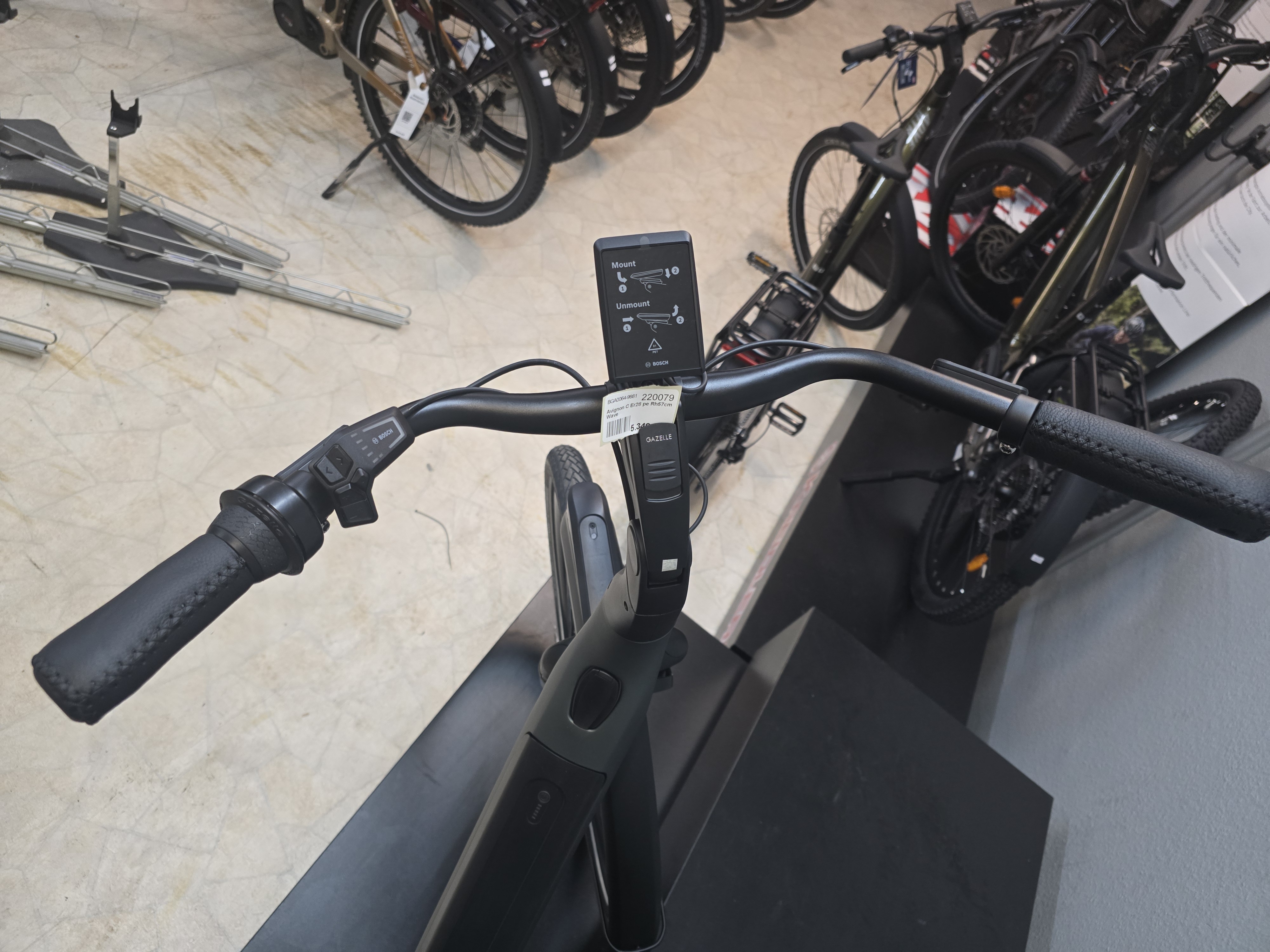 Gazelle AVIGNON C380 HMB  Teal grey SE 