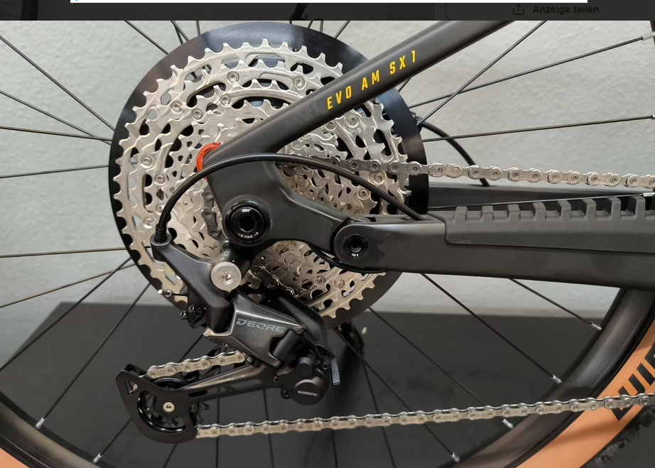 Bulls Sonic Evo AM SX 1 Carbon 2025 